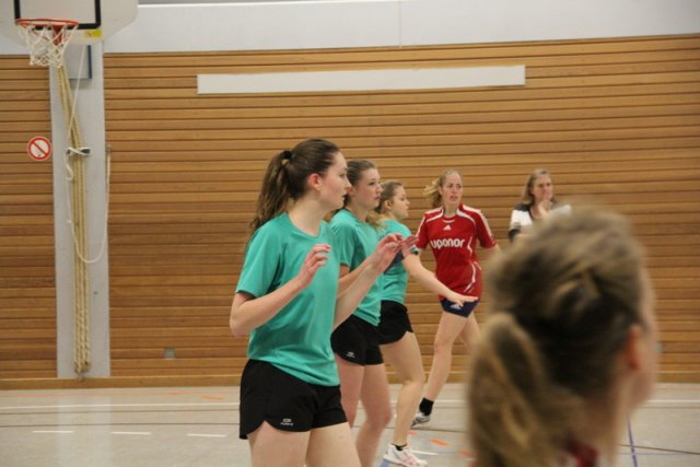 2016_01_23 Landesliga Frauen